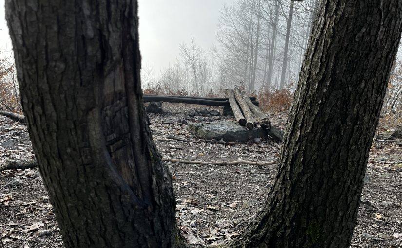 Cum am să îmbătrânesc? Pot să știu asta?