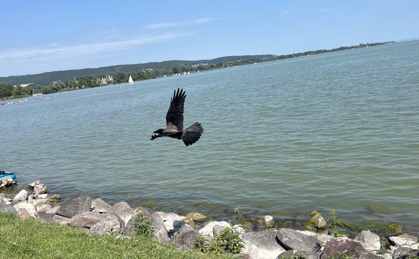 Mă antrenez pentru o trăznaie