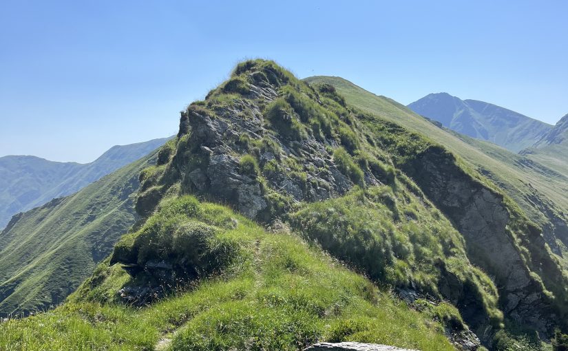 Alergarea și viața