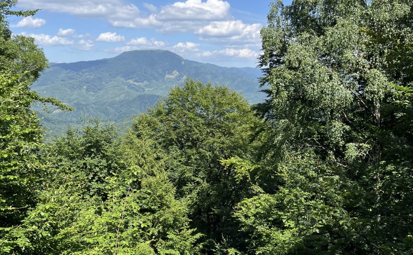 Respirația pe nas în alergare