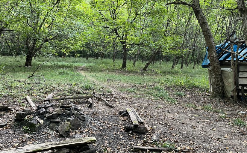 Anduranța, răbdarea și alergarea