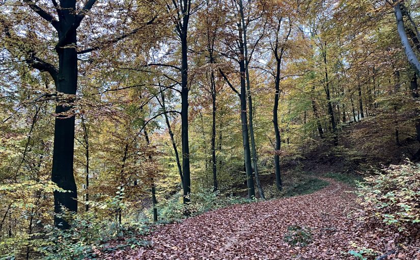 Alerg, viața este simplă